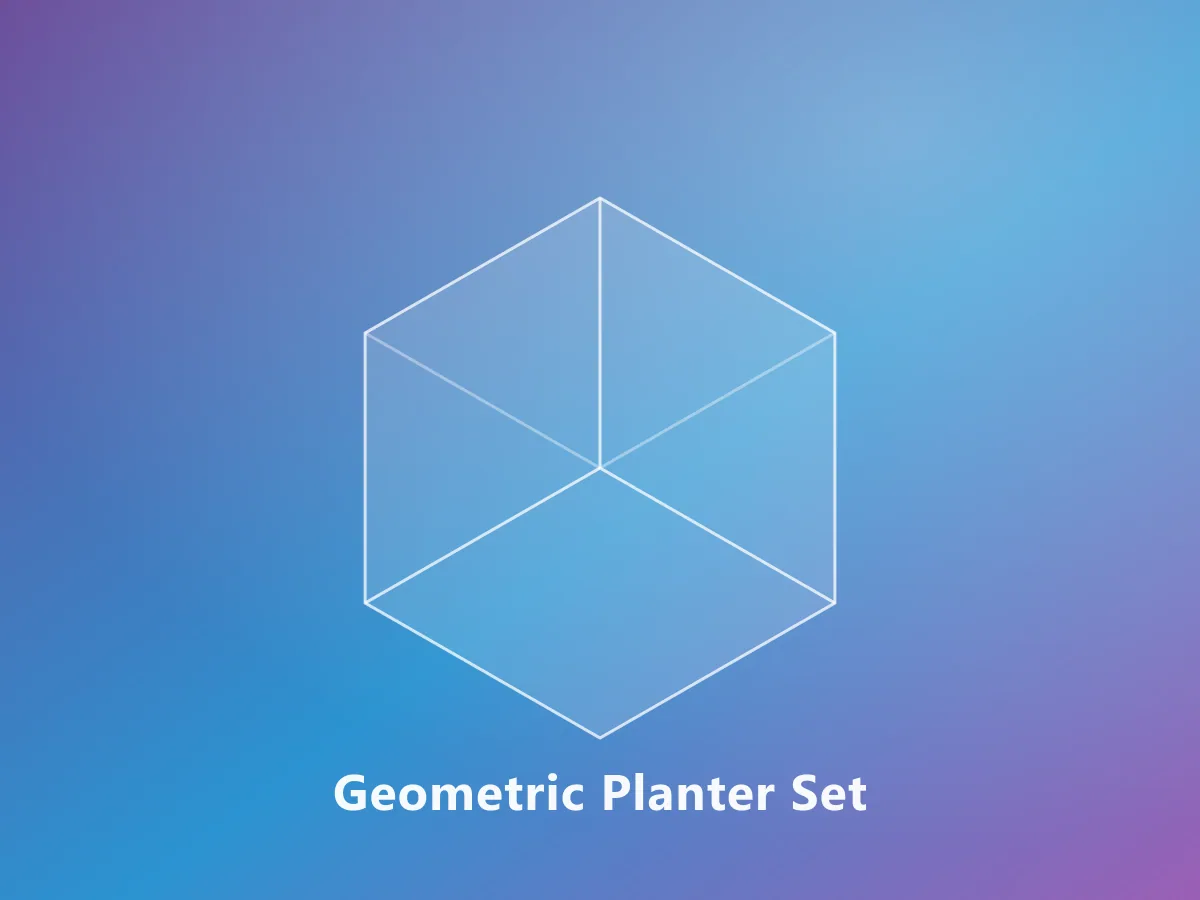 Geometric Planter Set